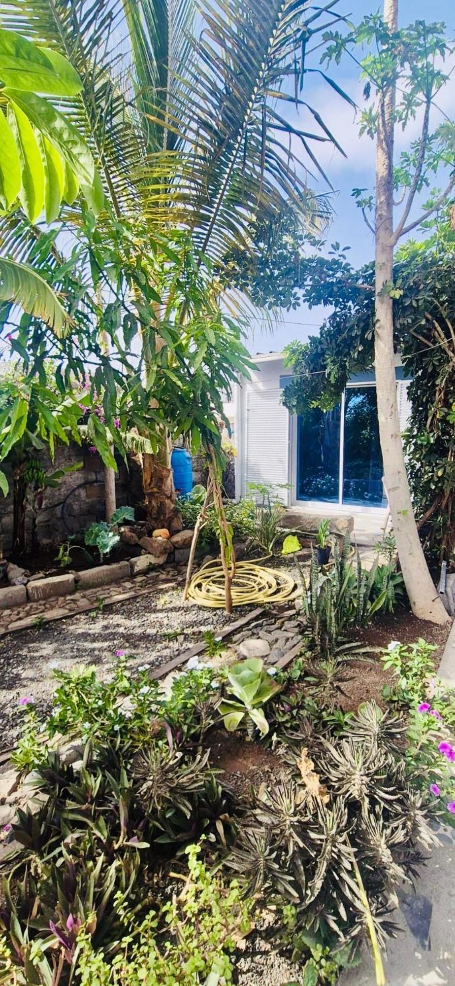 Casa Chiquinha Apartamento *