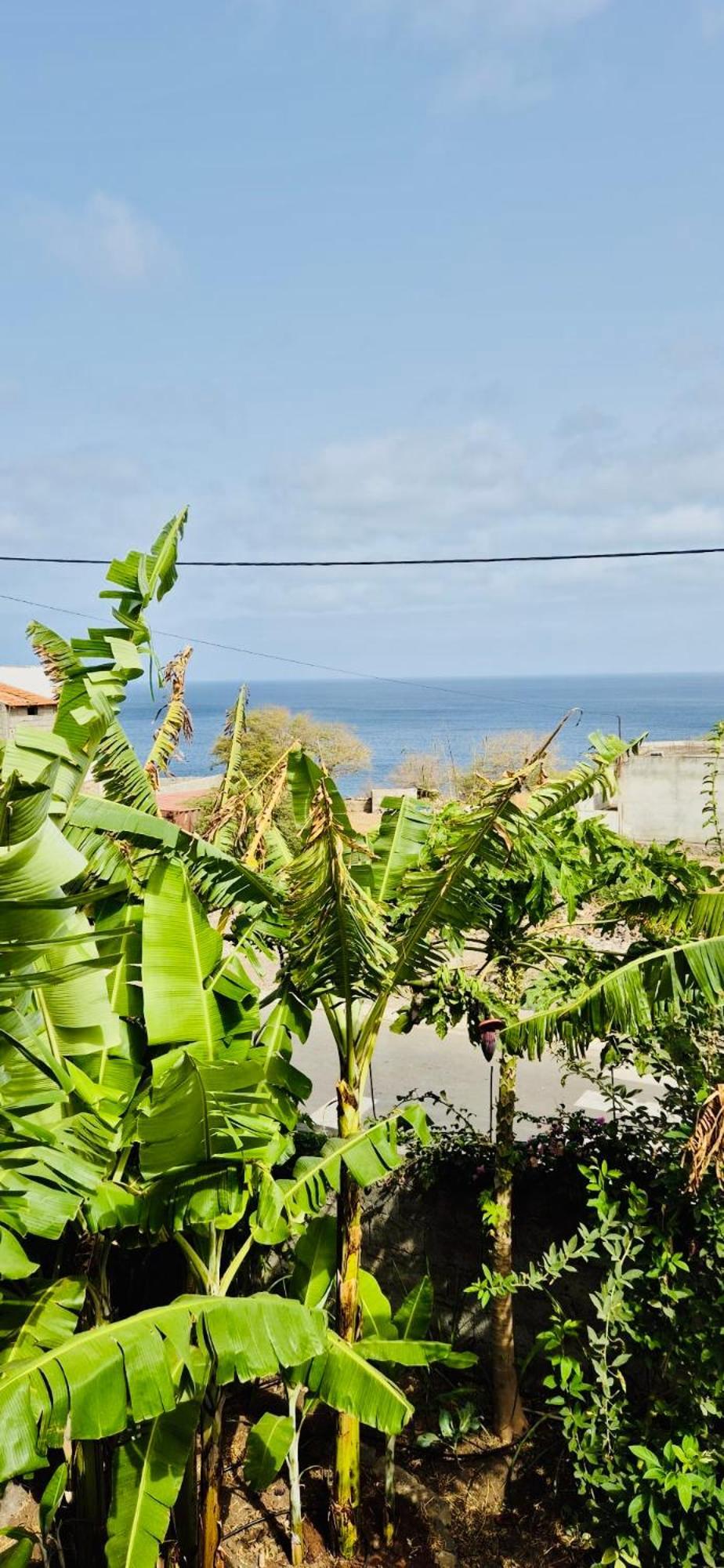 Casa Chiquinha Apartamento Ribeira da Prata