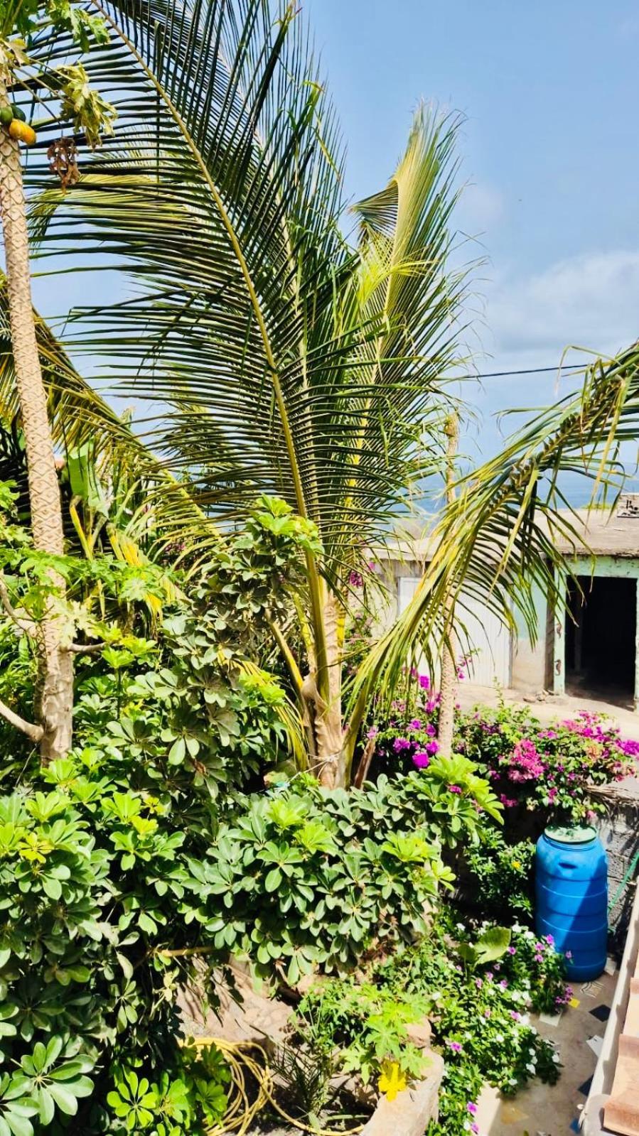 Casa Chiquinha Apartamento *